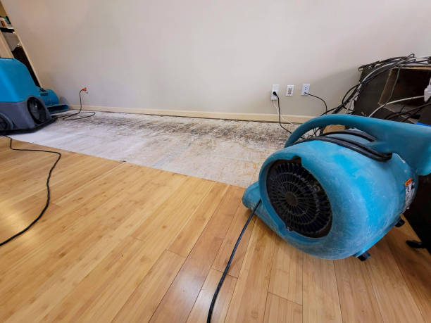 Professional Structural Drying technician working in Adel, IA